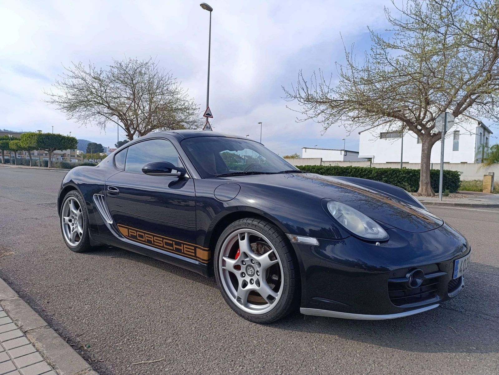 Porsche Cayman