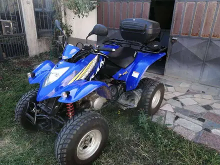 Kymco KXR 250