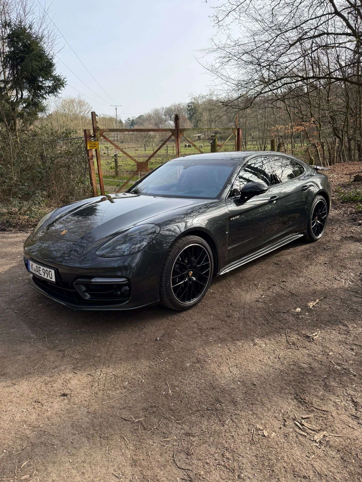 Porsche Panamera undefined