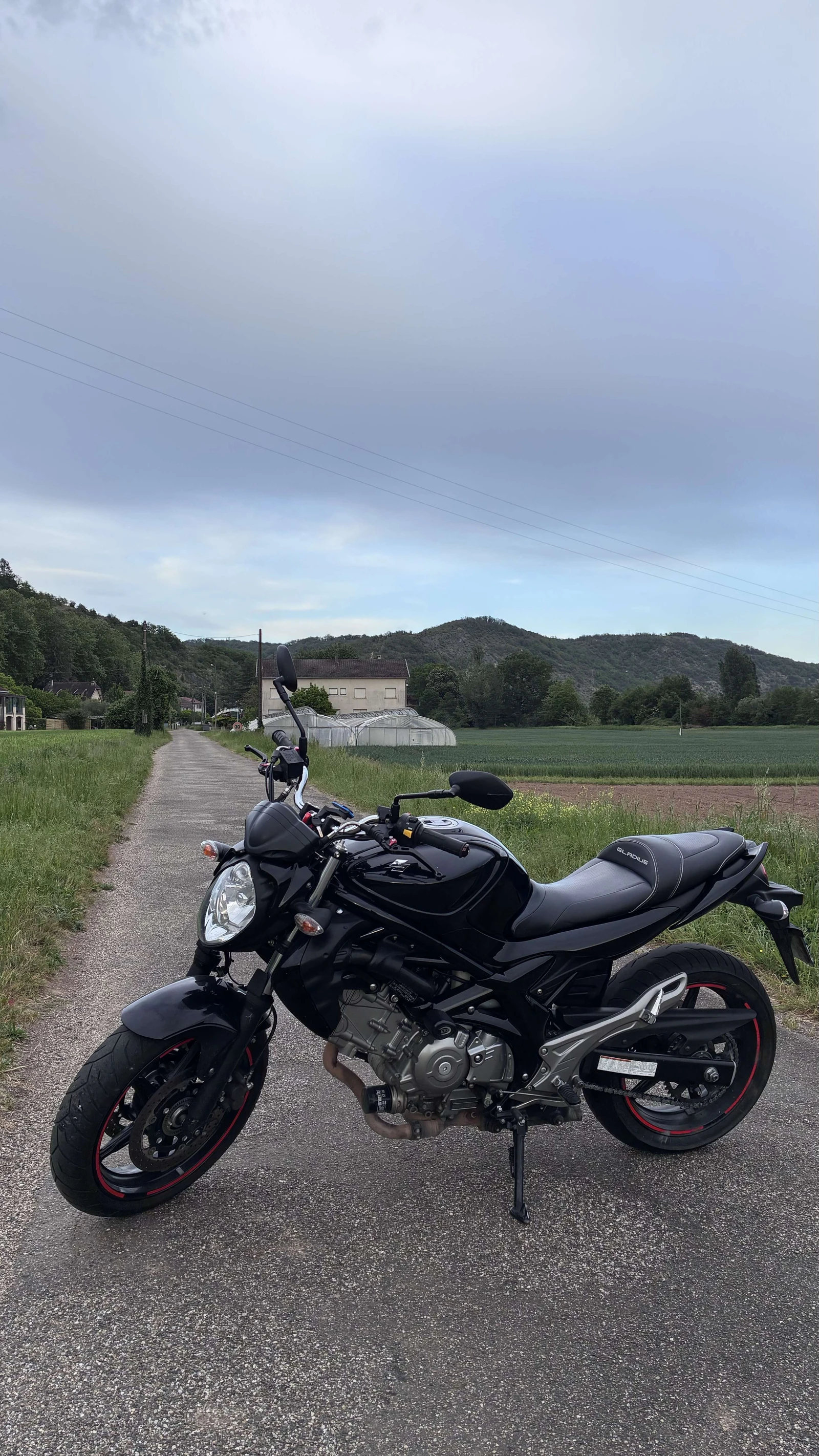 Suzuki Gladius 650