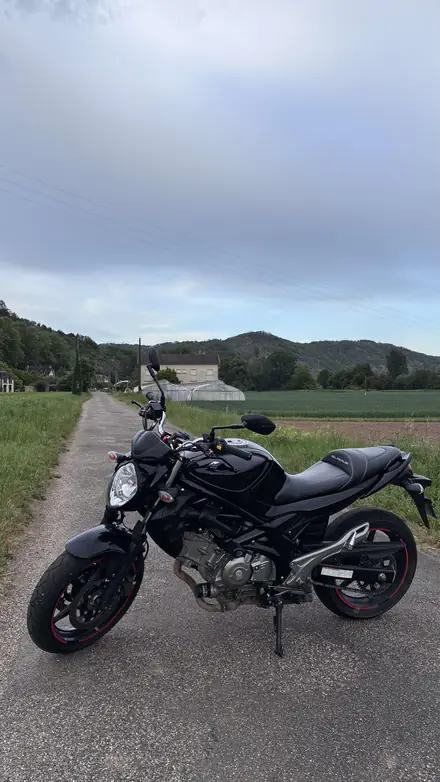 Suzuki Gladius 650