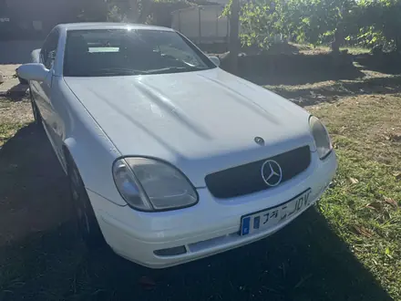 Mercedes-Benz SLK 230