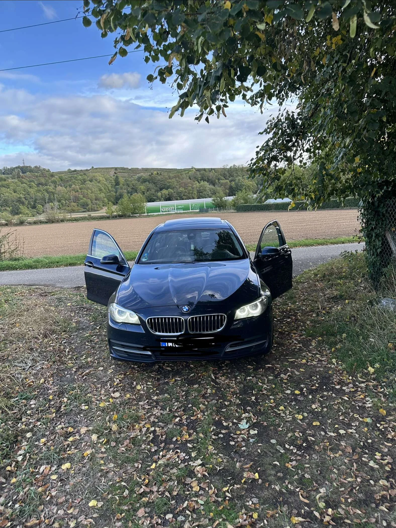 BMW 530