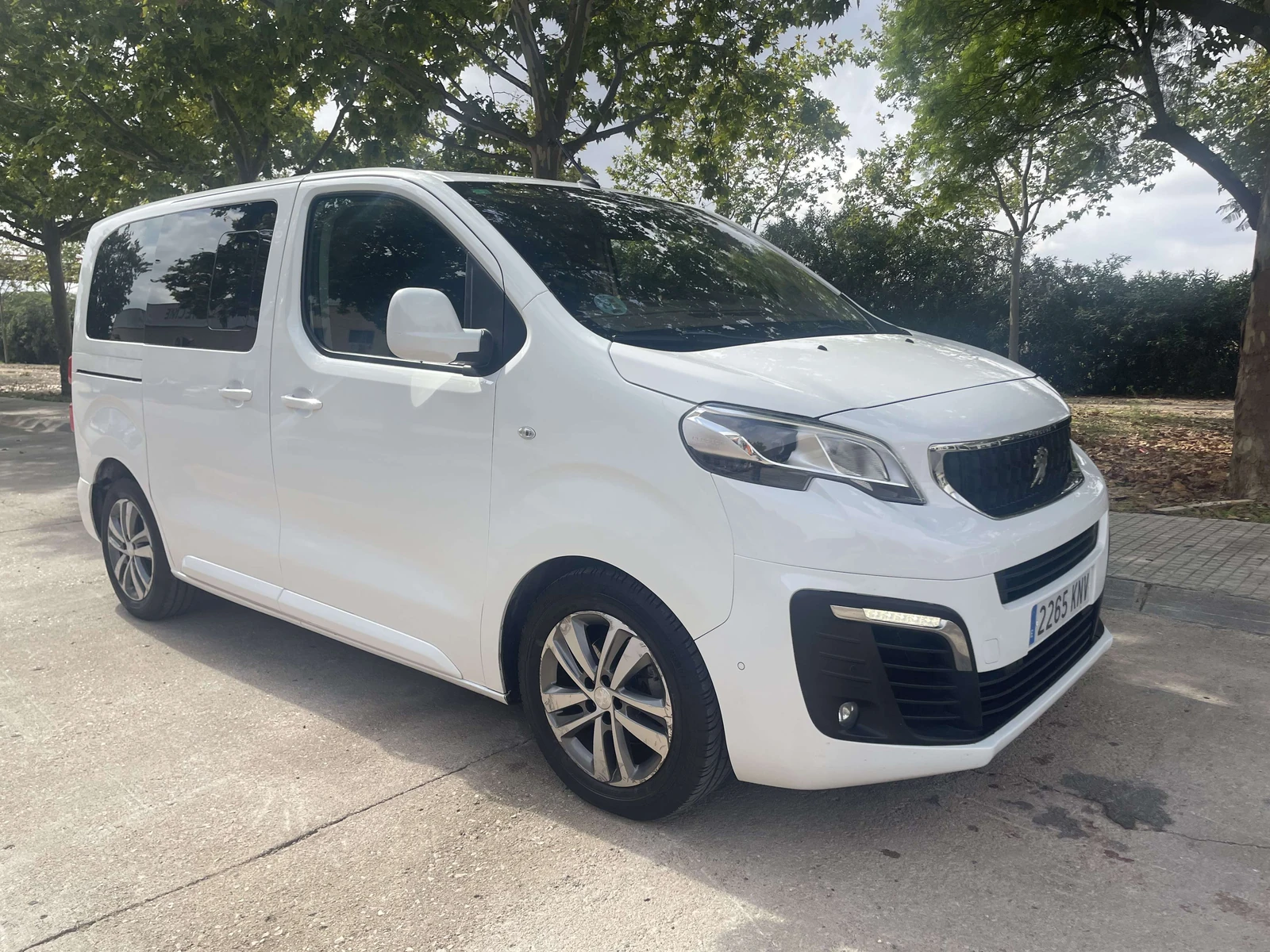 Peugeot Traveller