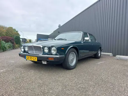 Jaguar XJ6