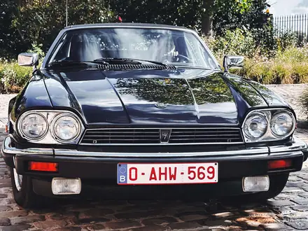 Jaguar XJS