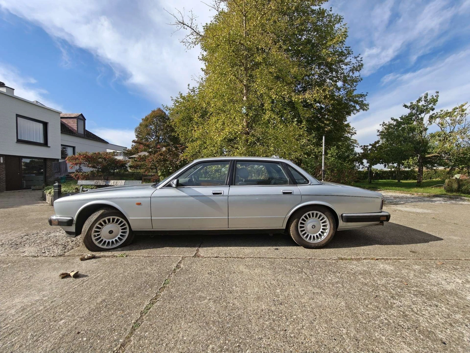 Jaguar XJ12