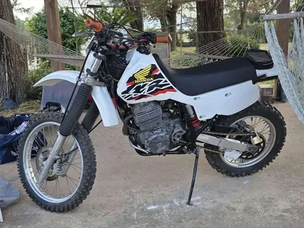 Honda XR 600