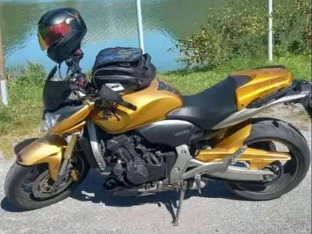 Honda Hornet