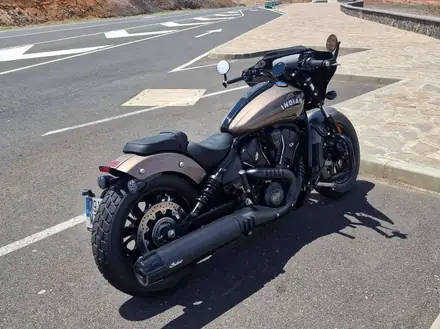 Indian Scout