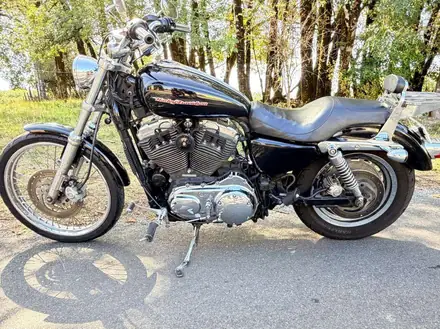 Harley-Davidson Sportster 1200