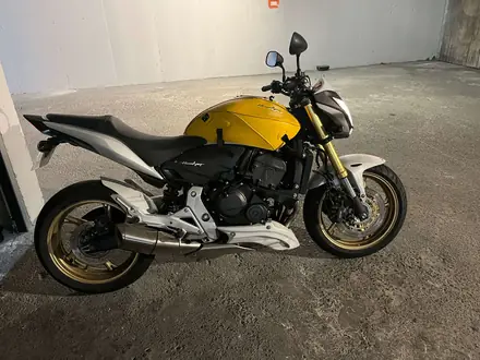 Honda Hornet