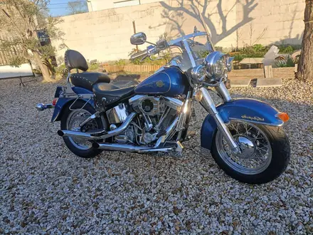 Harley-Davidson Softail