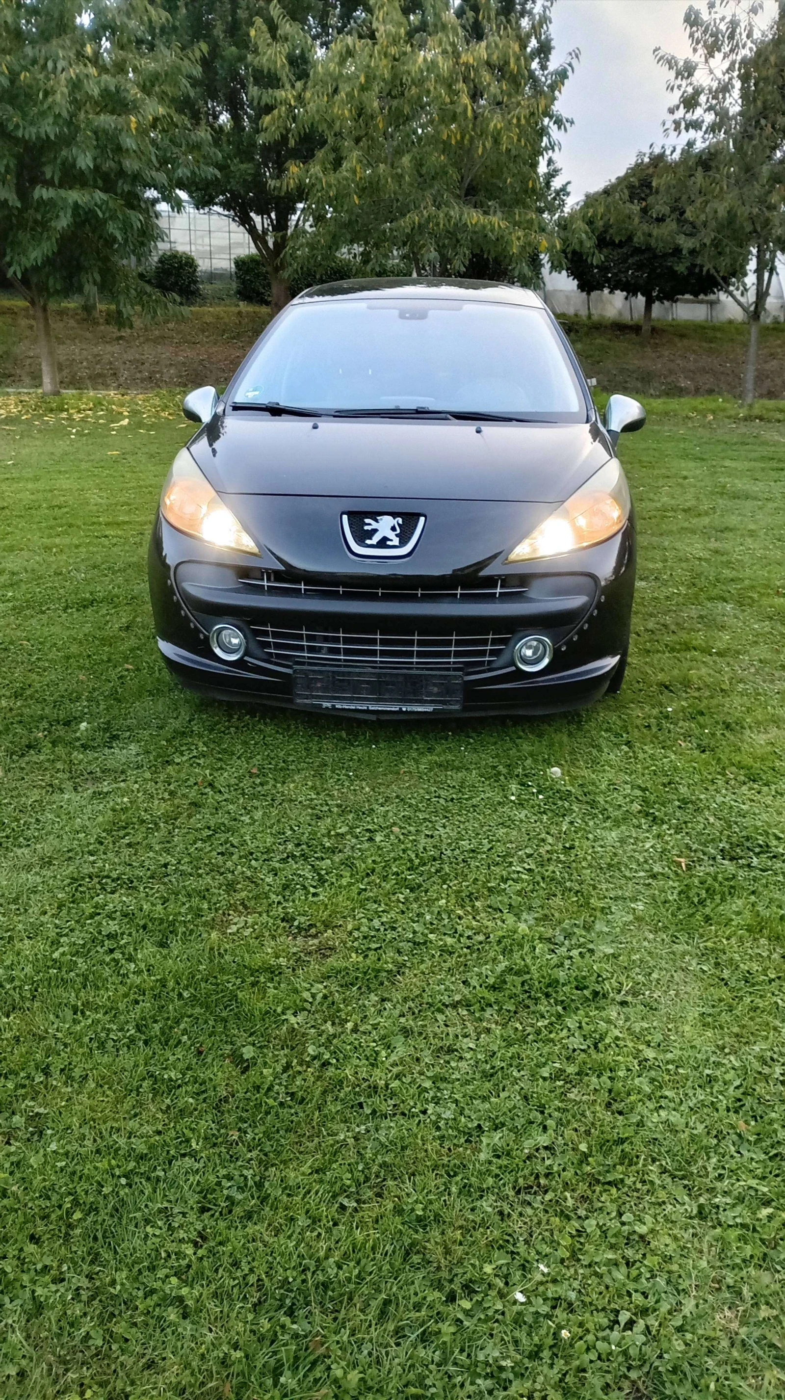 Peugeot 207