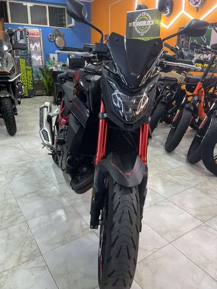 Honda Hornet