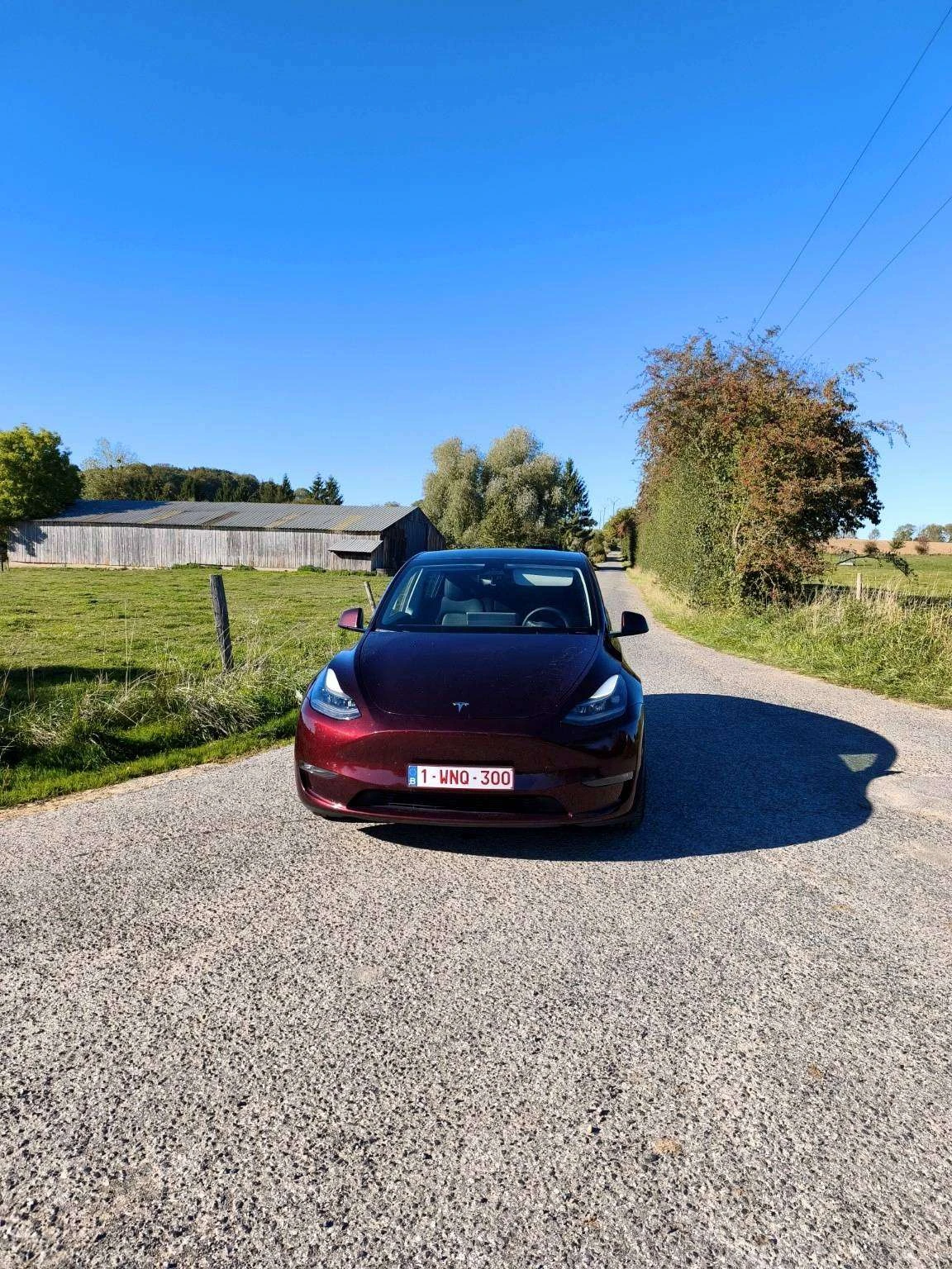 Tesla Model Y null
