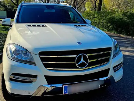 Mercedes-Benz ML 250