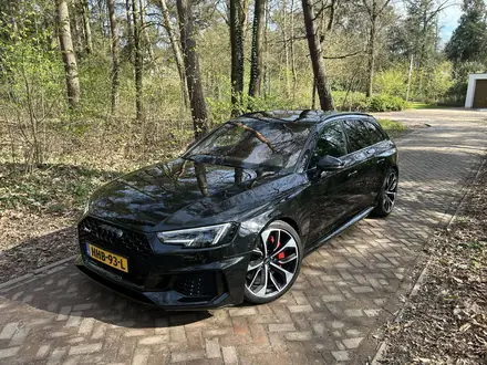 Audi RS4