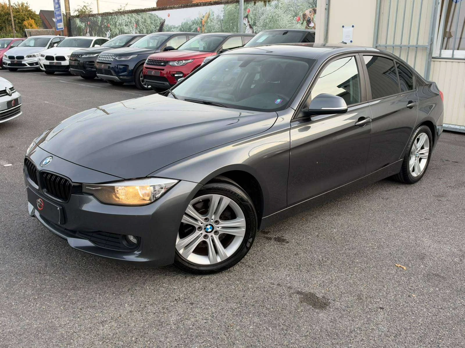 BMW 316 2012