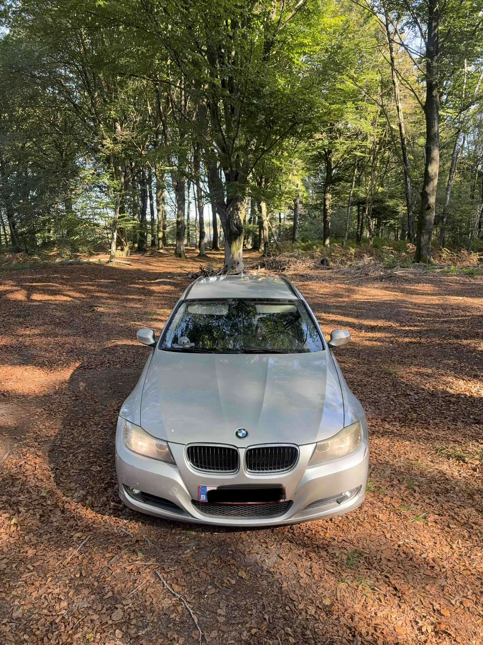 BMW 318
