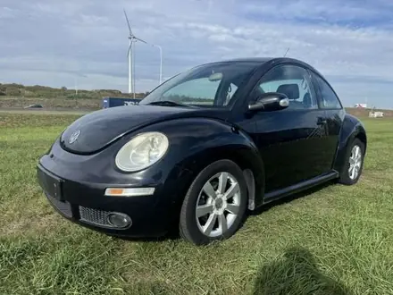 Volkswagen New Beetle