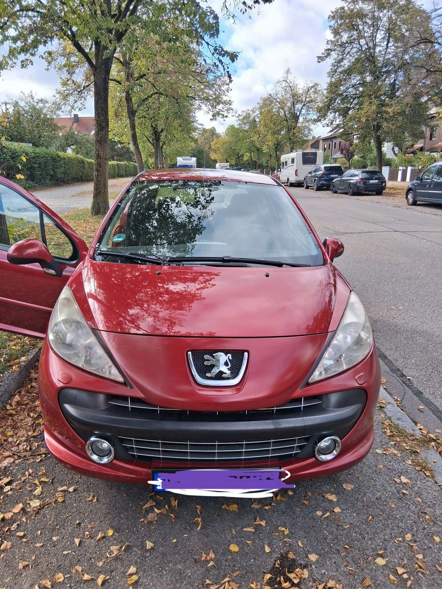 Peugeot 207