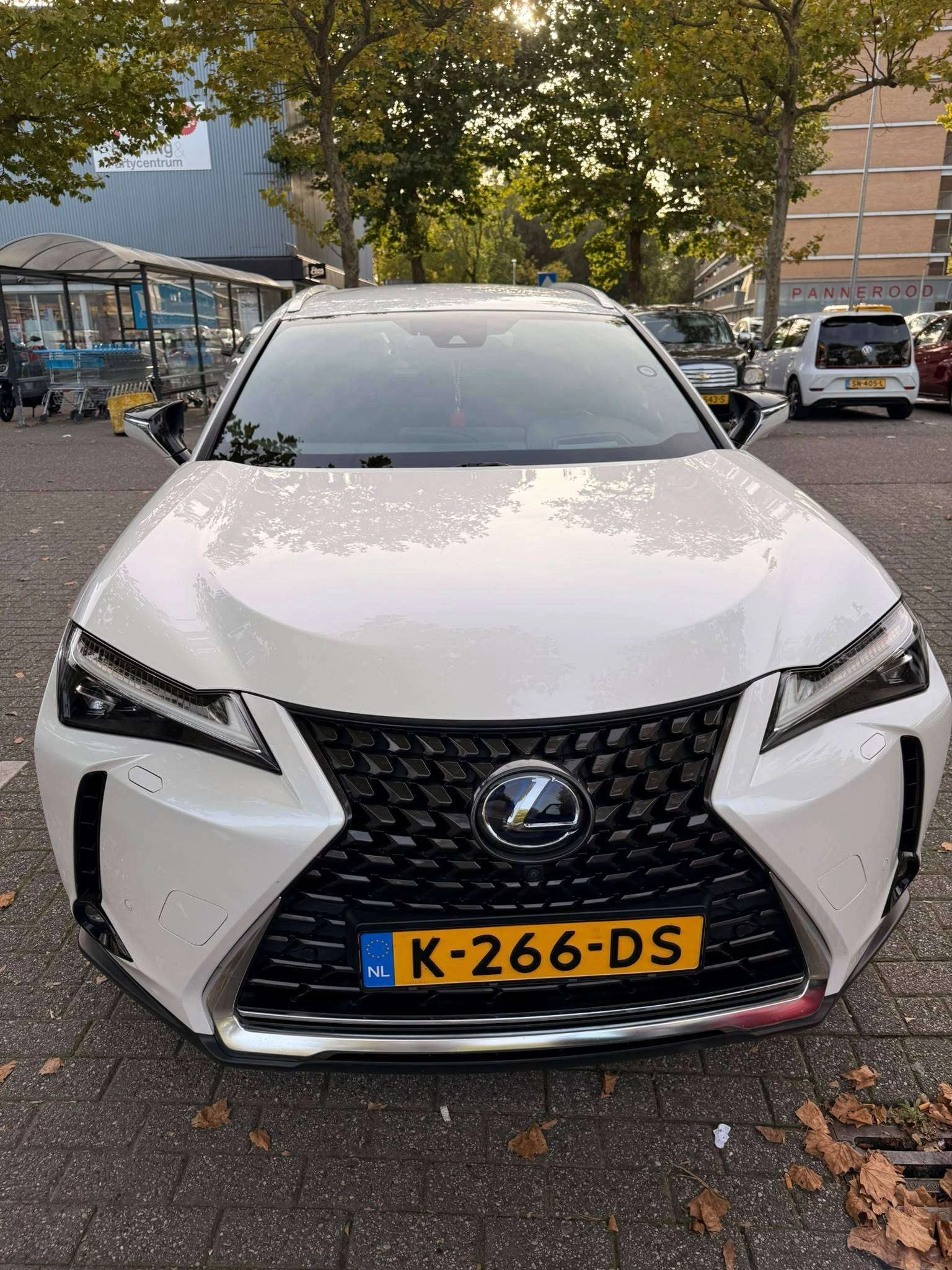 Lexus UX 300e