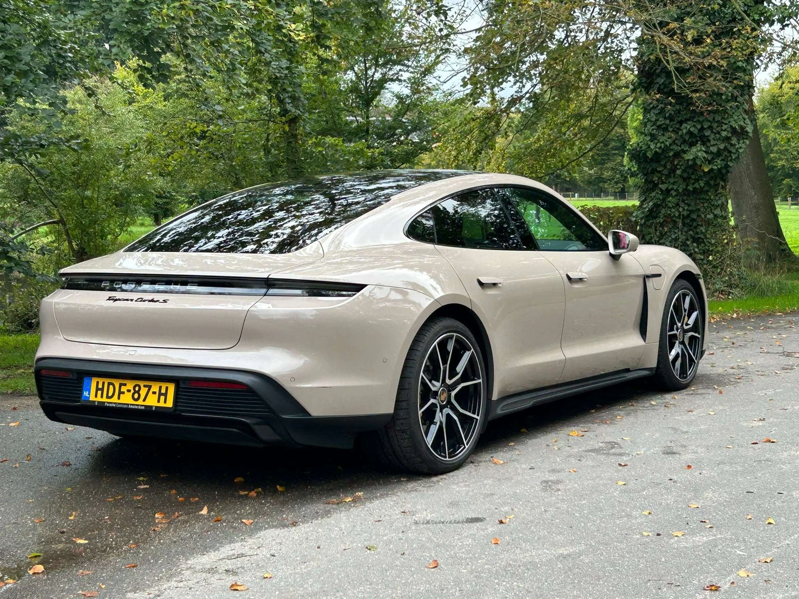 Porsche Taycan undefined
