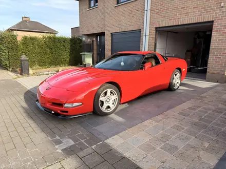 Chevrolet Corvette