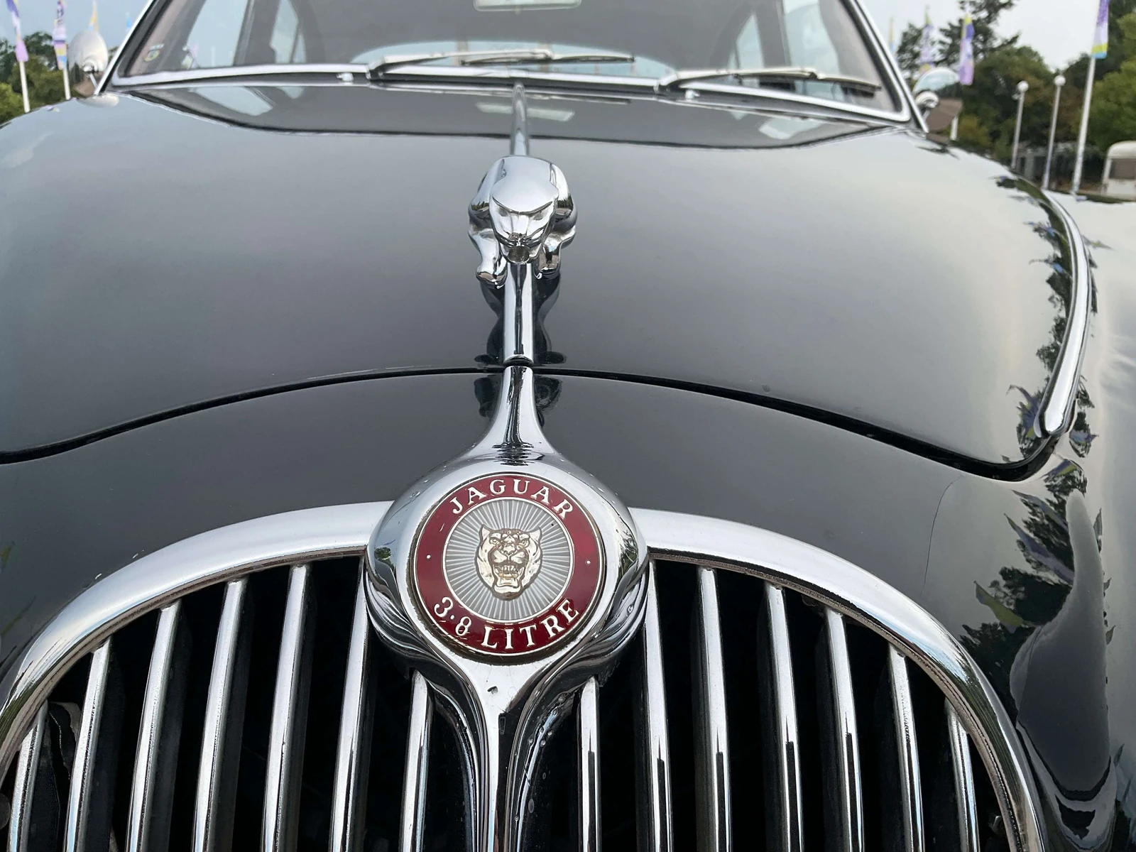 Jaguar MK II undefined
