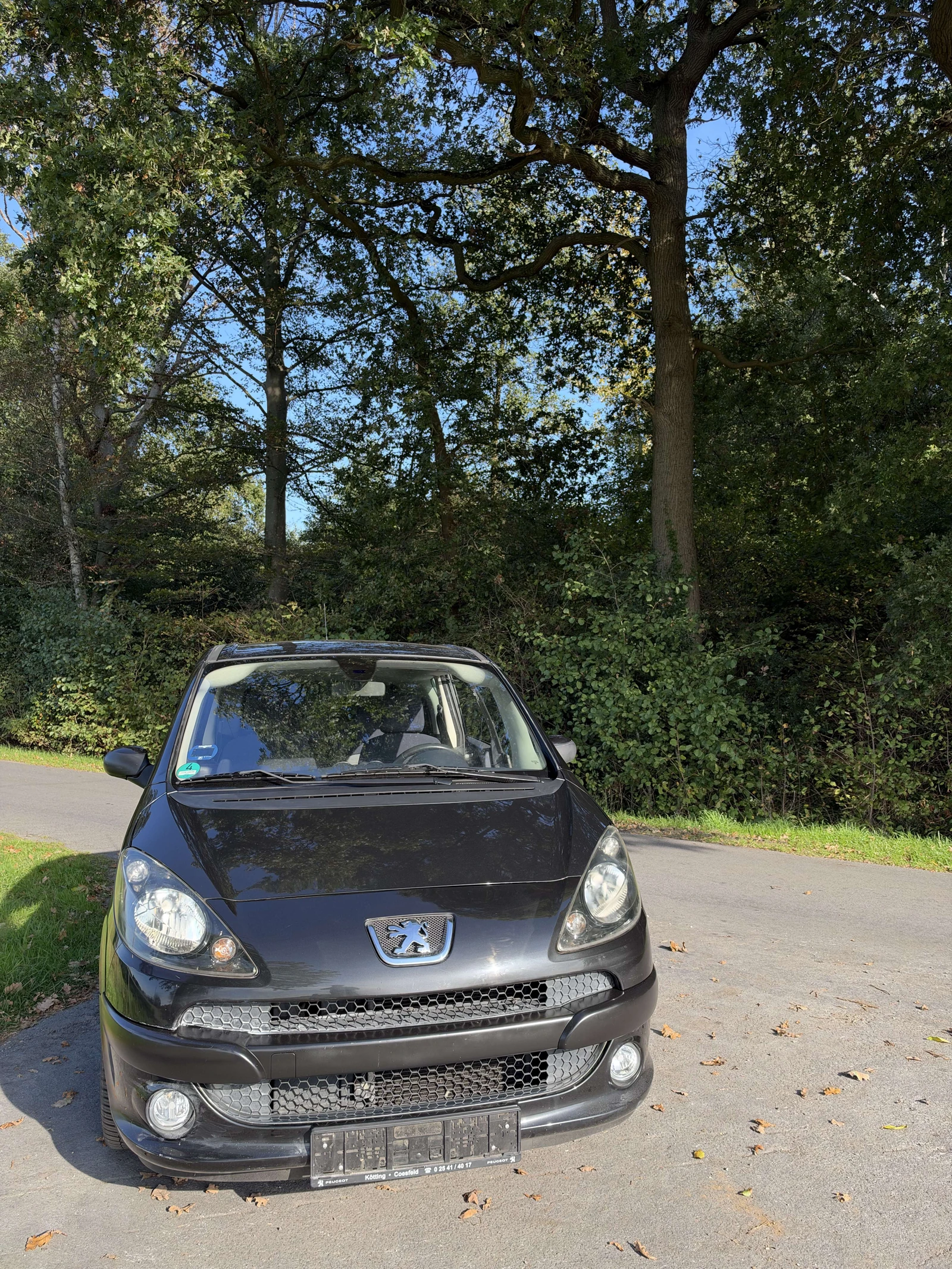 Peugeot 1007