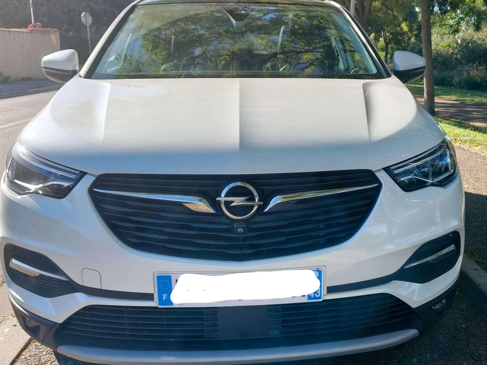 Opel Grandland X