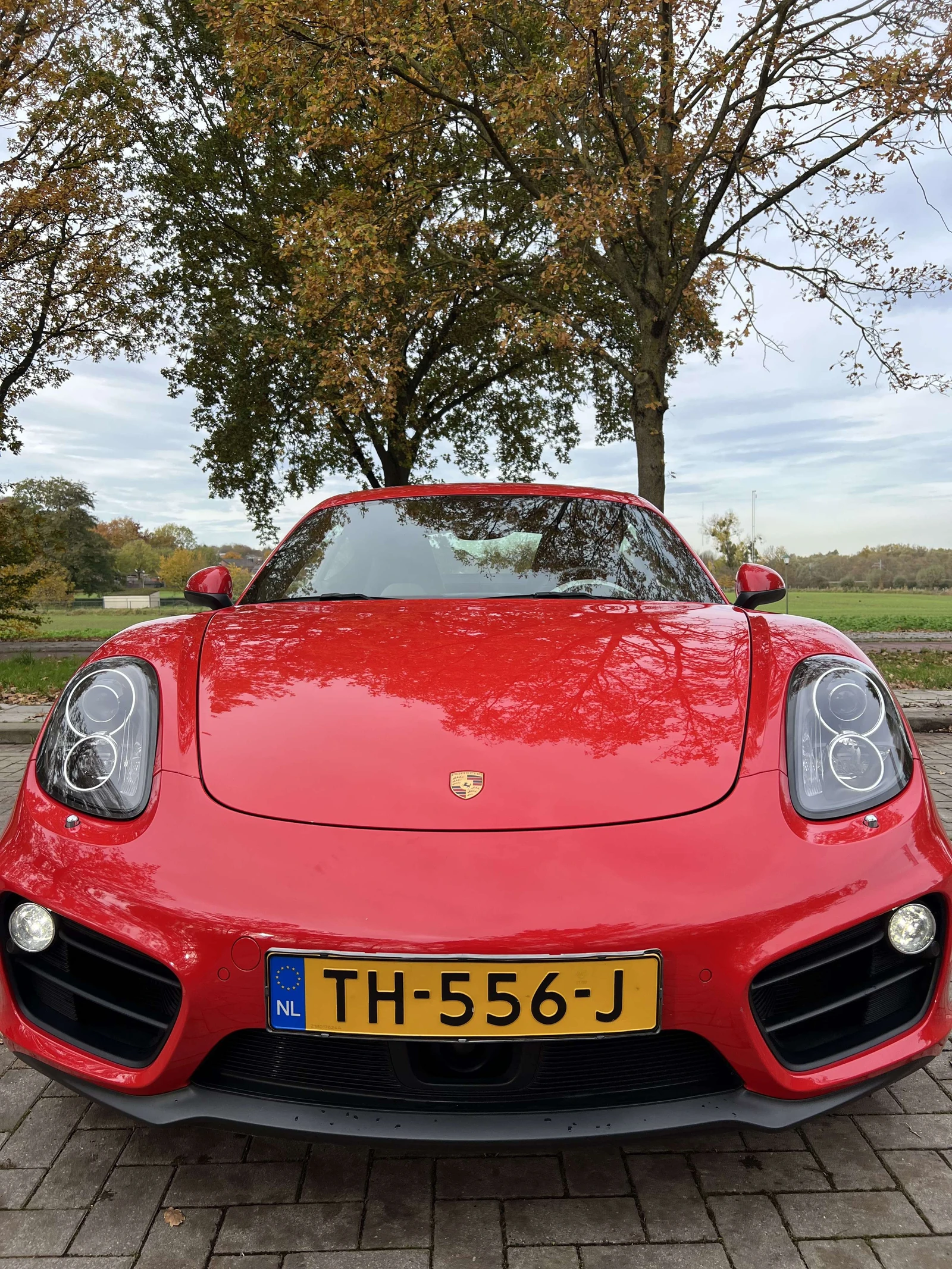 Porsche Cayman