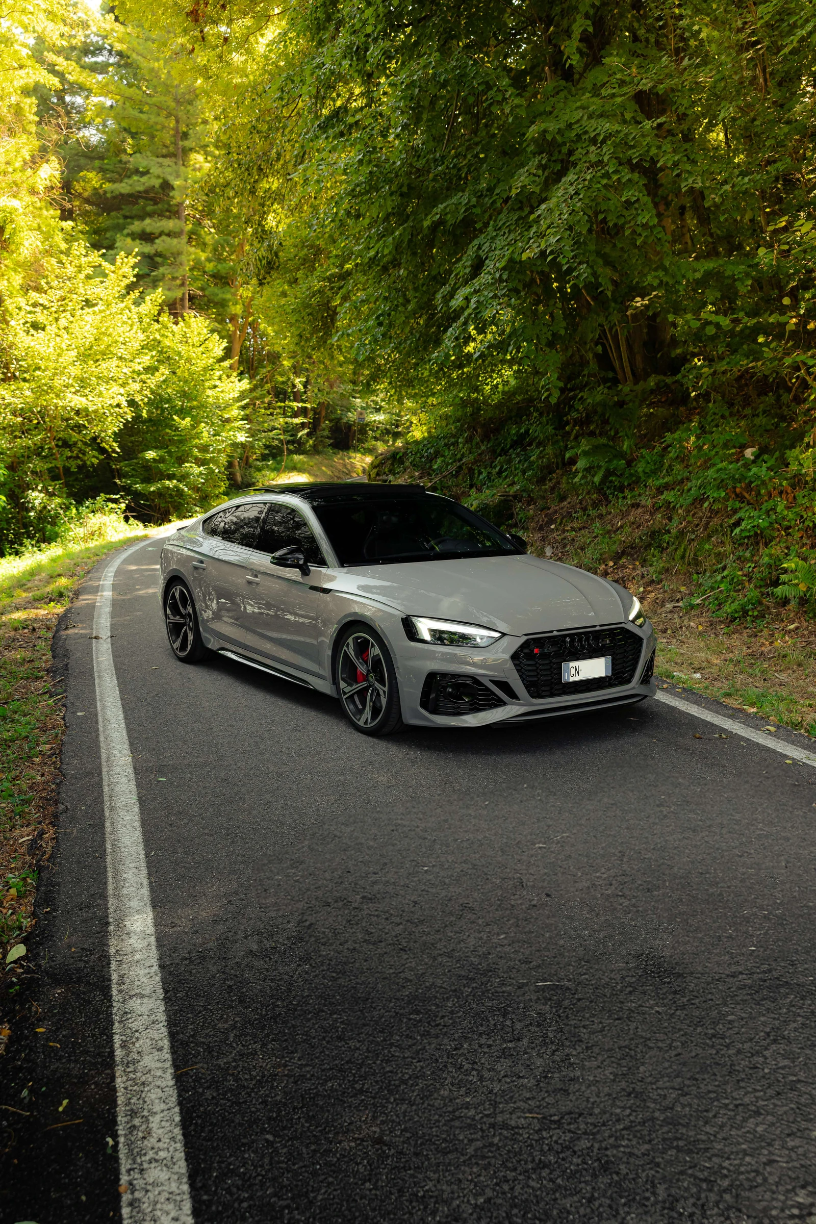 Audi RS5 undefined