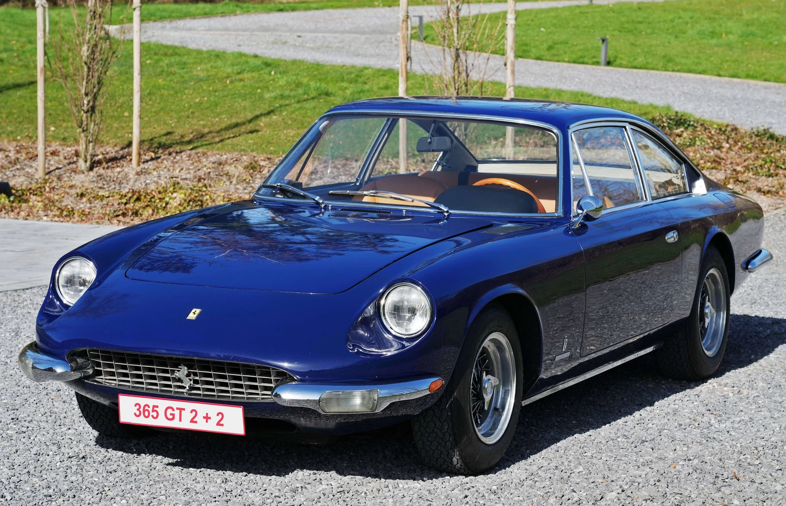 Ferrari 365 undefined