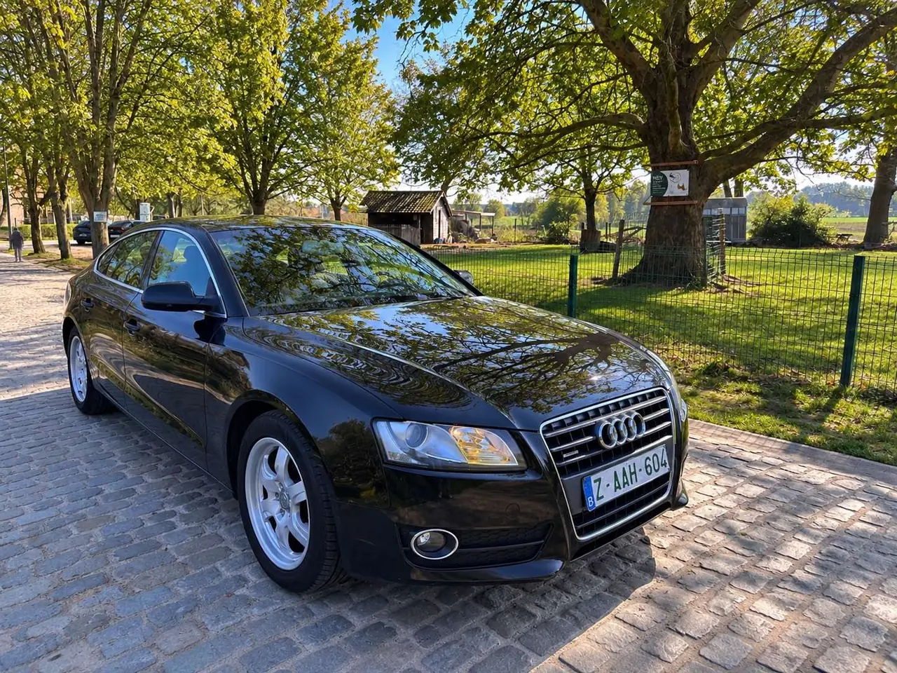 Audi A5 2010
