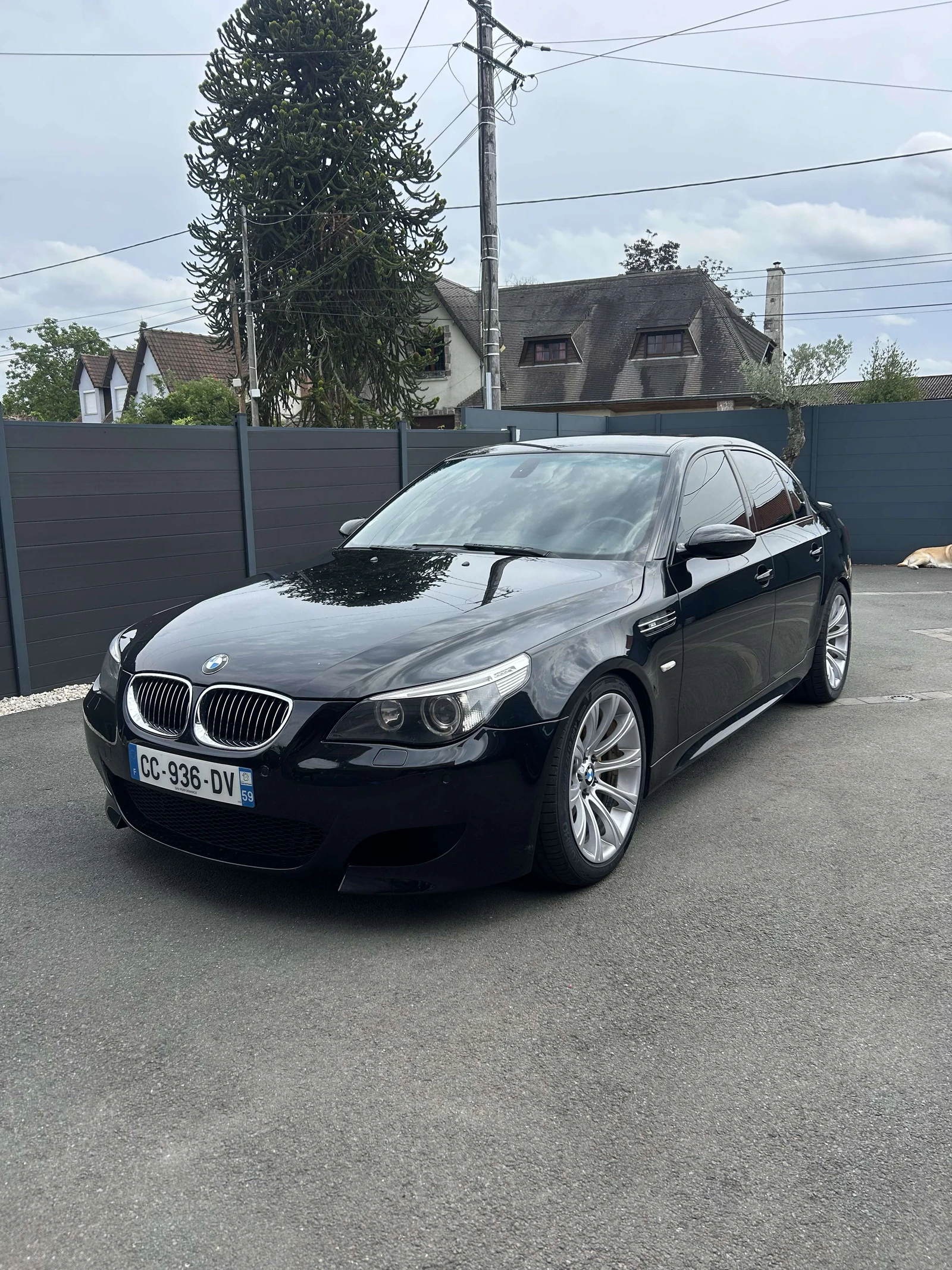 BMW M5 undefined