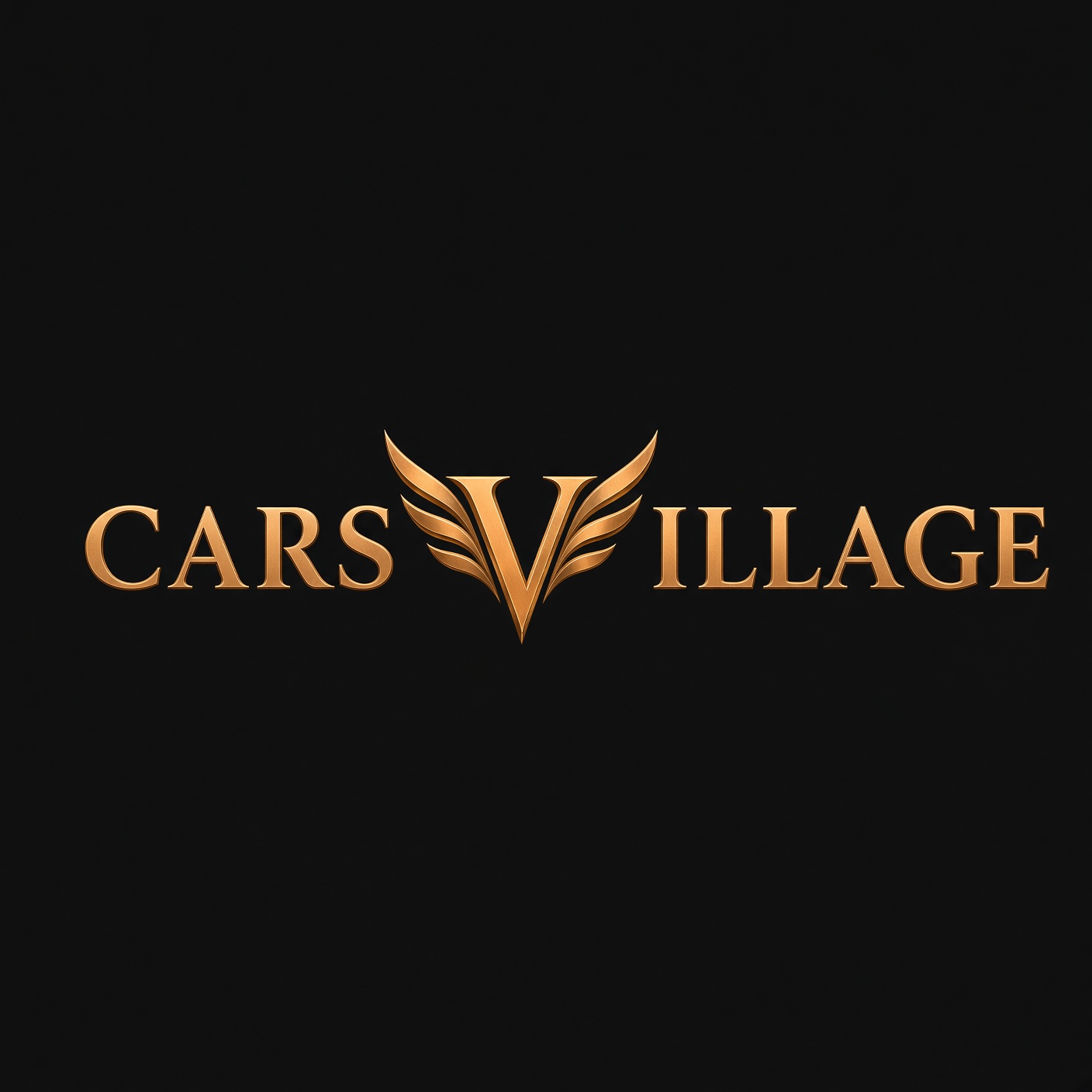 SRL CARS VILLAGE